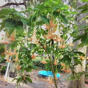 Meet your Posher, Janice